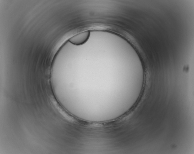 X0000110941186200906191043