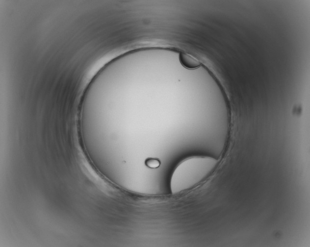 X0000110941187200906191043