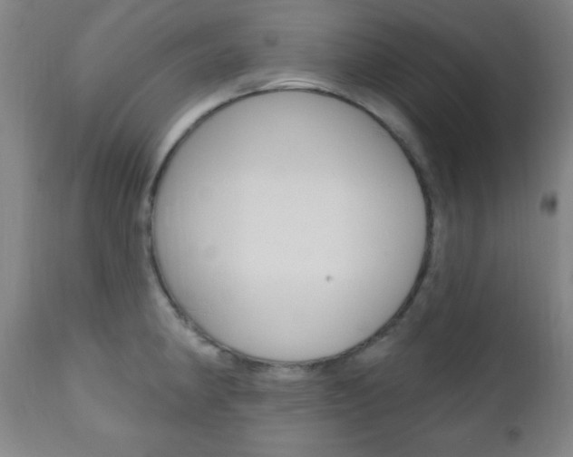 X0000110941190200906191043