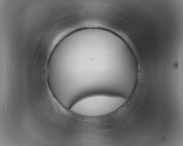 X0000110941191200906191043