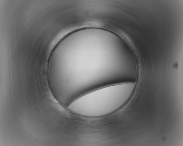 X0000110941192200906191043