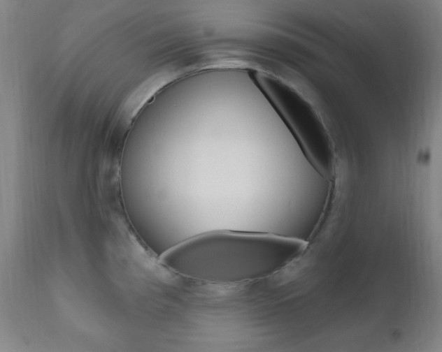 X0000110941193200906191043
