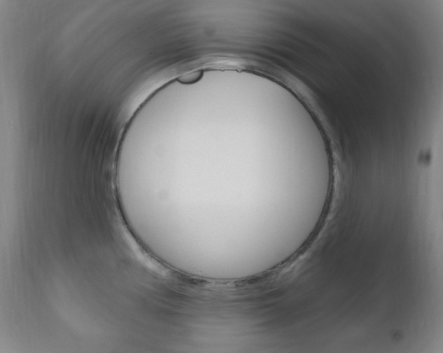 X0000110941194200906191043