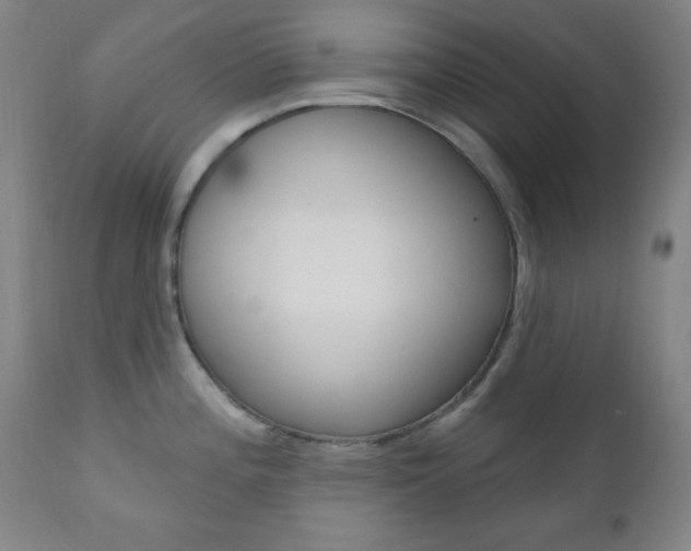 X0000110941196200906191043