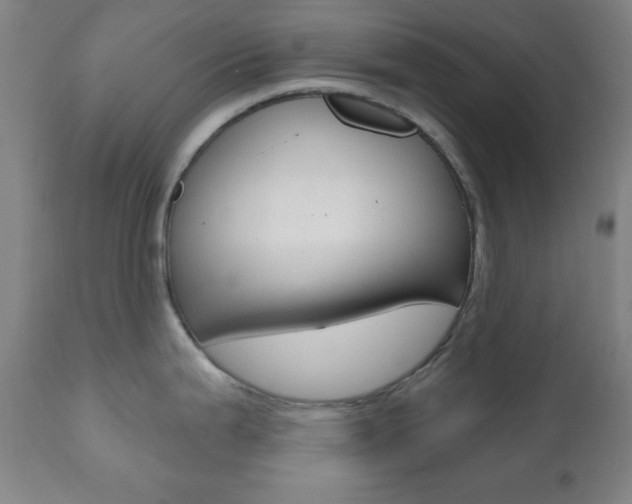 X0000110941199200906191043