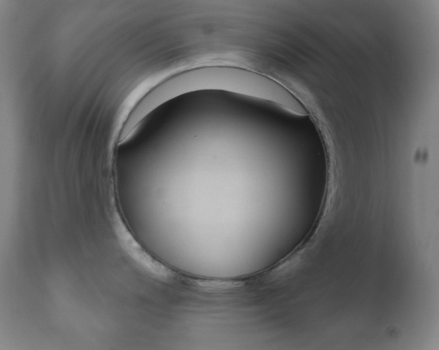 X0000110941200200906191043