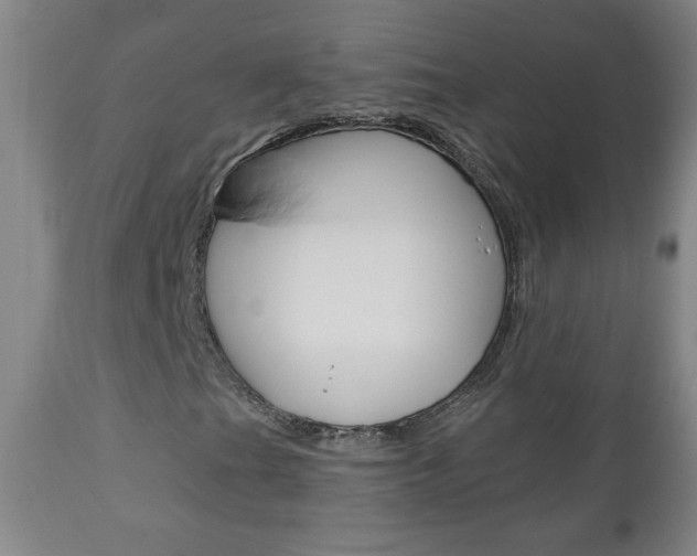 X0000110941201200906191042