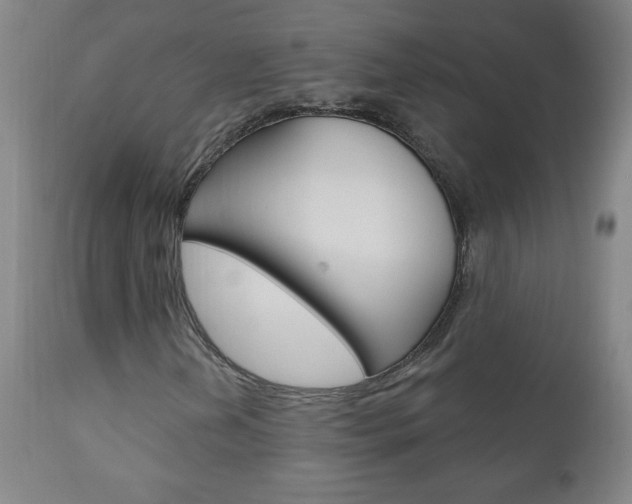X0000110941202200906191042