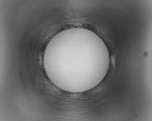 X0000110941203200906191042
