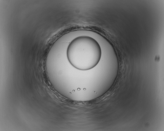 X0000110941205200906191042