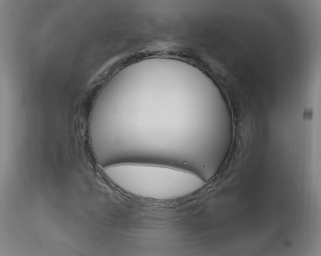 X0000110941206200906191042