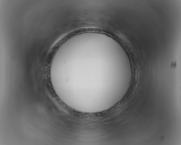 X0000110941208200906191042