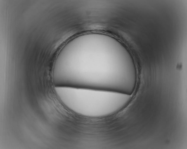 X0000110941209200906191042