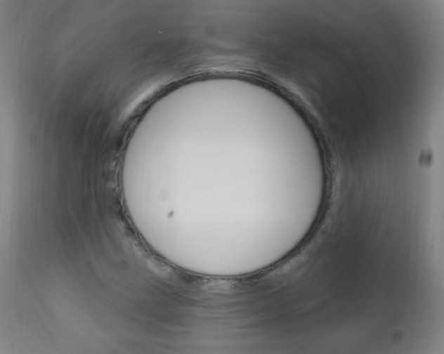 X0000110941211200906191042