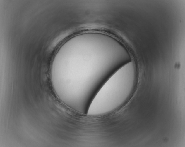 X0000110941213200906191042