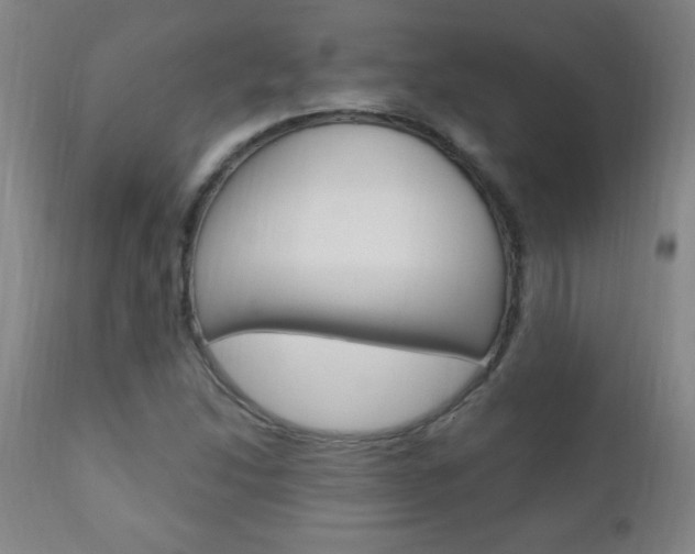 X0000110941214200906191042