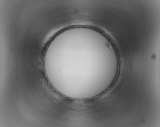 X0000110941215200906191042