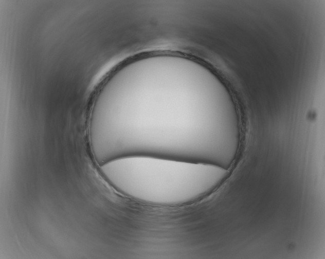 X0000110941216200906191042