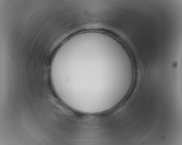 X0000110941217200906191042