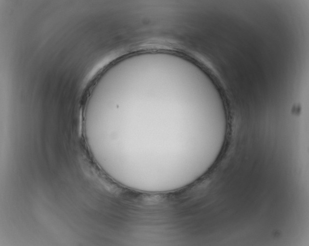 X0000110941219200906191042