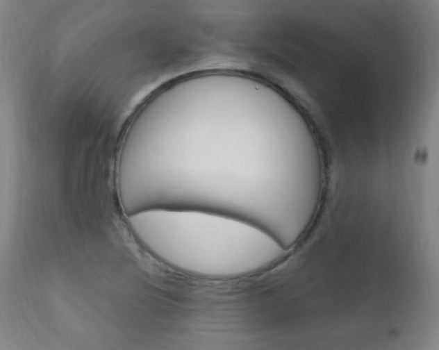 X0000110941220200906191042