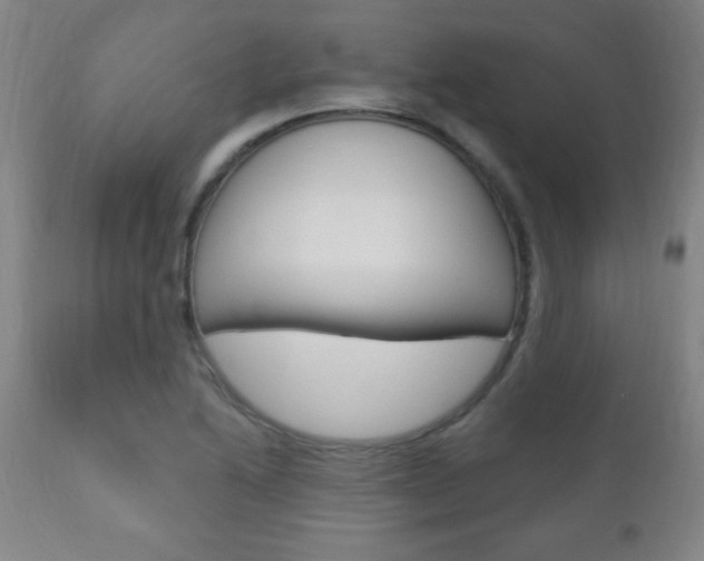 X0000110941222200906191042