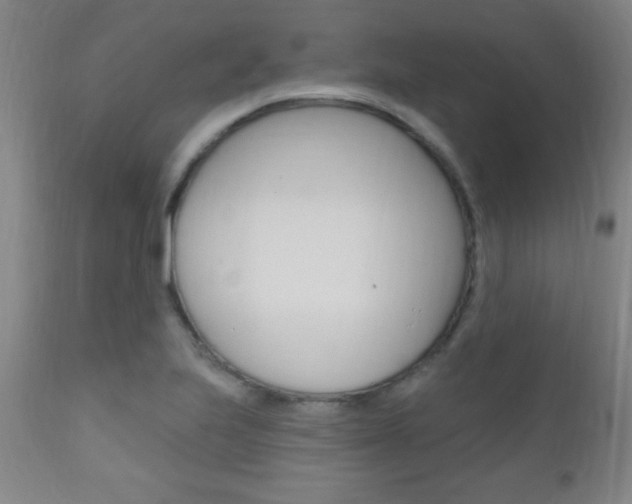 X0000110941223200906191042