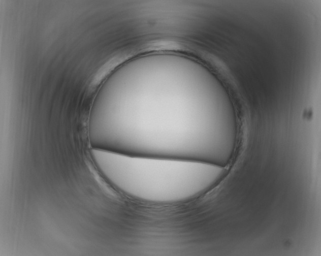 X0000110941225200906191042