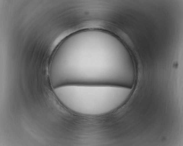 X0000110941226200906191042