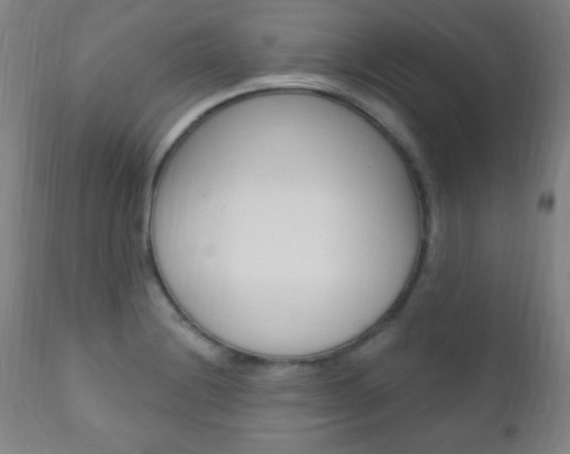 X0000110941228200906191042