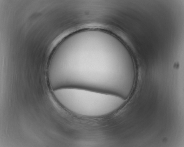 X0000110941229200906191042