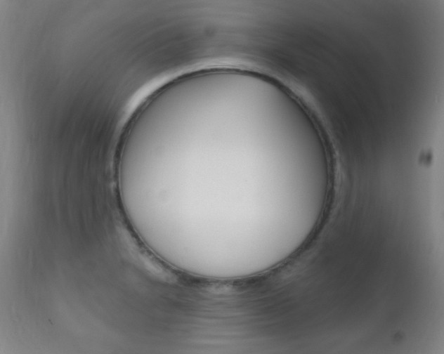 X0000110941230200906191042