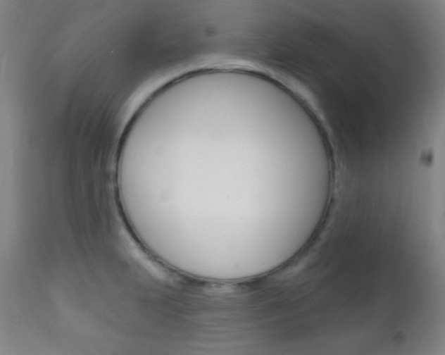 X0000110941231200906191042