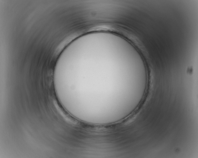 X0000110941233200906191042
