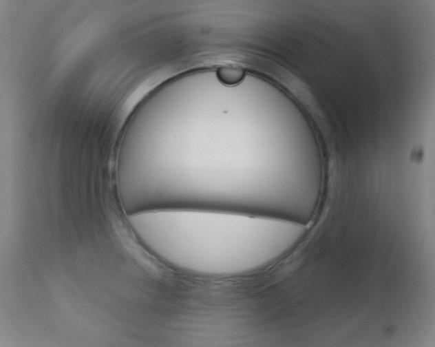 X0000110941234200906191042