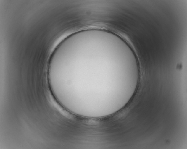 X0000110941235200906191042
