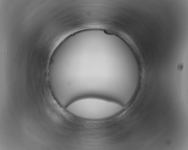 X0000110941236200906191042