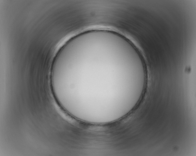X0000110941237200906191042