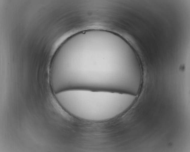 X0000110941238200906191042