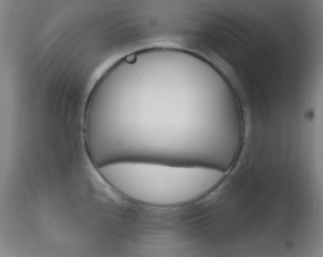 X0000110941240200906191043
