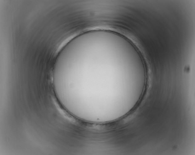 X0000110941241200906191043