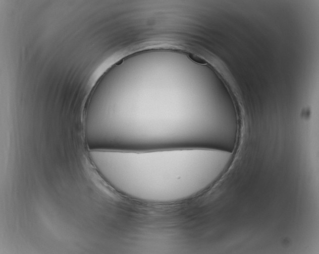 X0000110941242200906191043