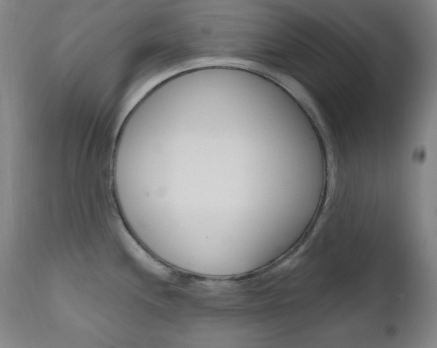 X0000110941244200906191043