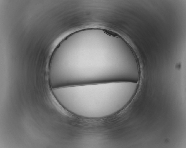 X0000110941246200906191043