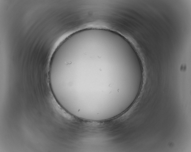 X0000110941248200906191043