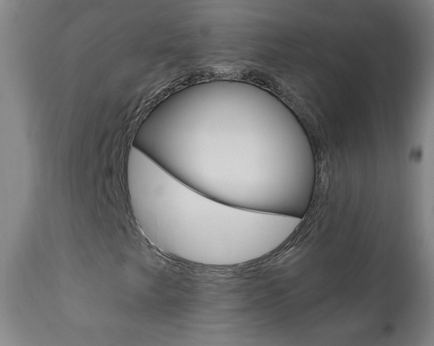 X0000110941249200906191042