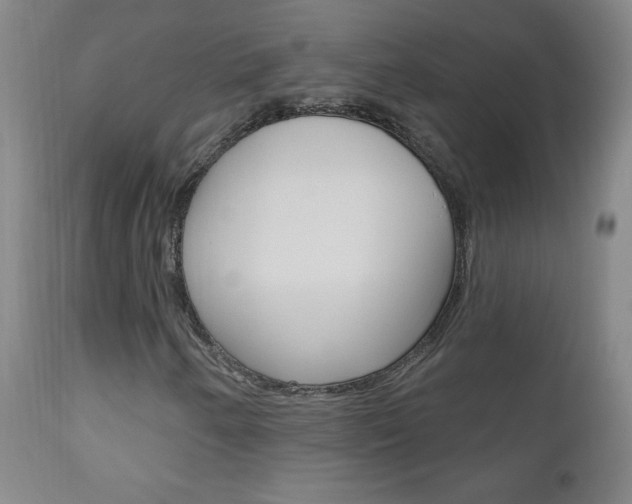 X0000110941250200906191042