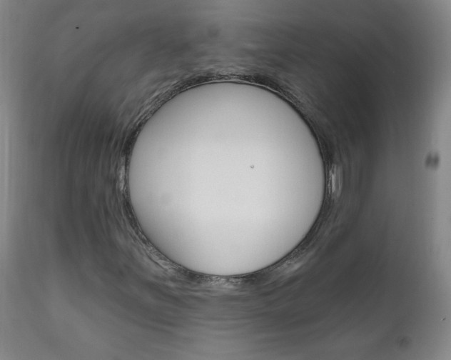 X0000110941251200906191042