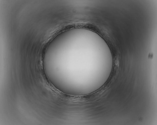 X0000110941252200906191042