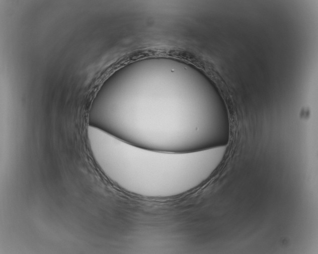 X0000110941253200906191042